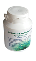 Artemisia annua kapsle s extraktem z pelyňku ročního